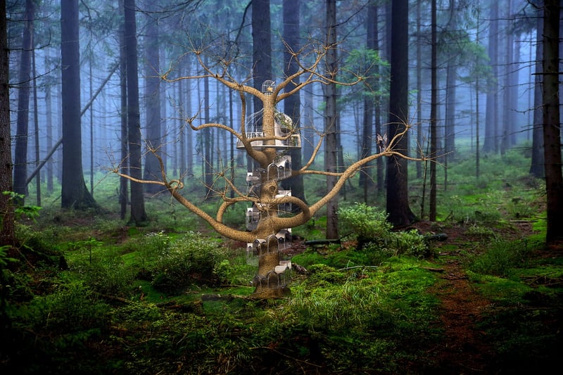 Fairy Kingdoms